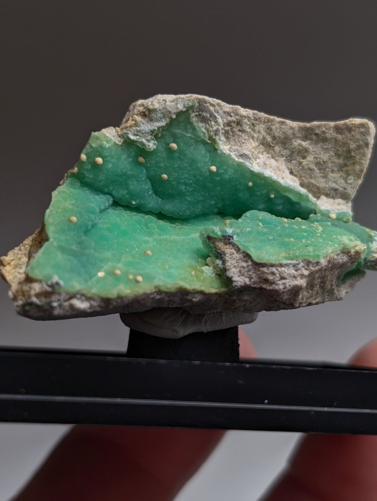 A+ wavellite on variscite mineral specimen with vibrant green translucent crystals and white specks from garland county arkansas