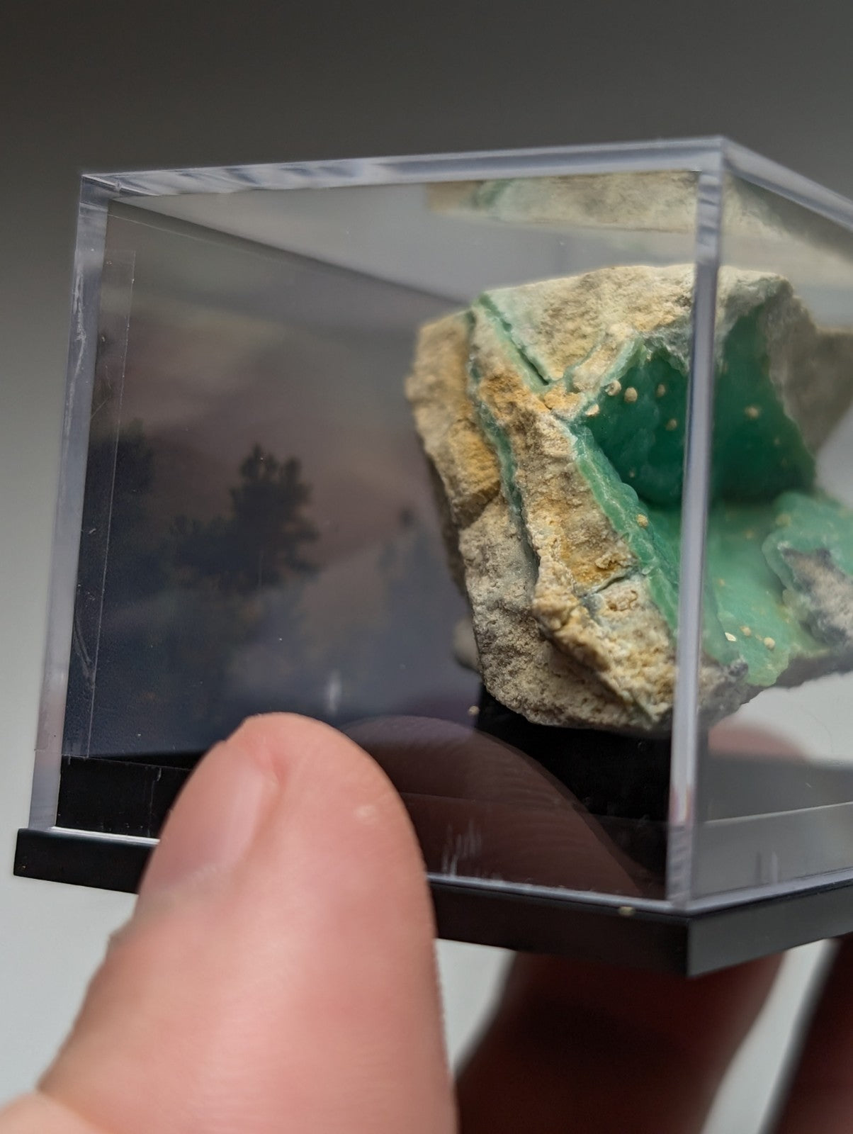 A+ wavellite on variscite vibrant green mineral with yellow matrix in clear acrylic display case from garland county arkansas