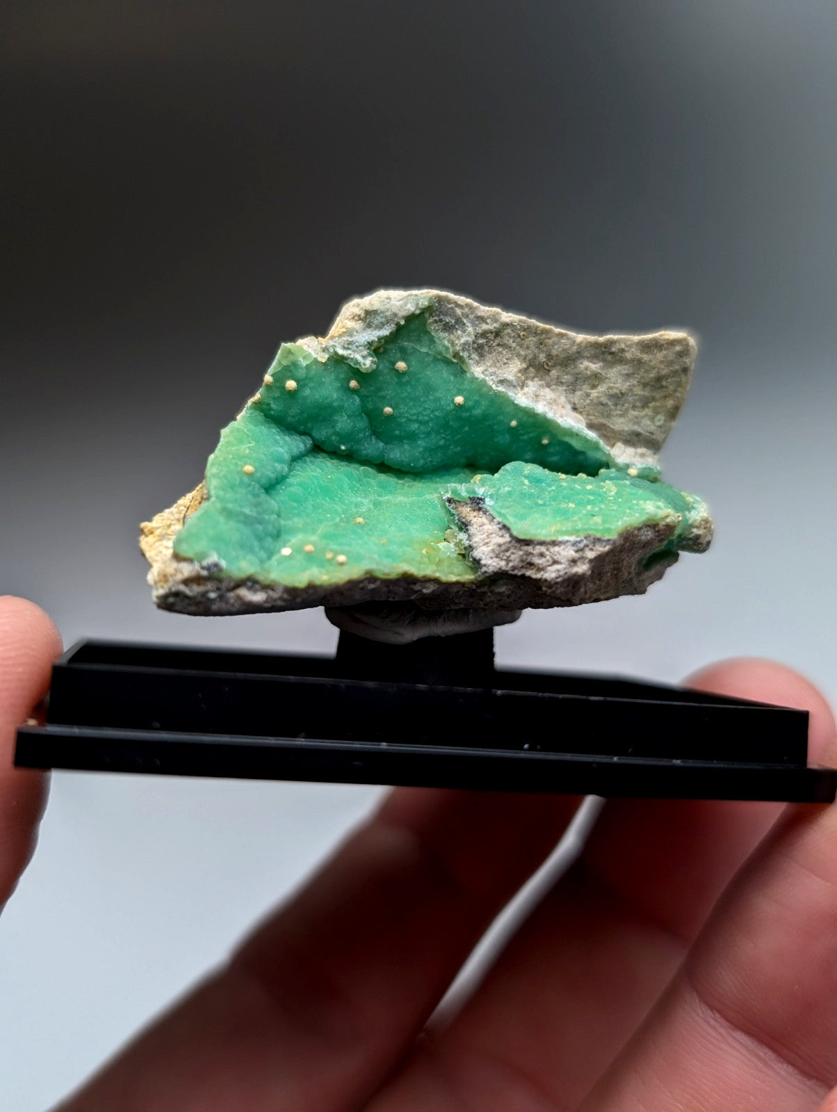 A+ wavellite on variscite mineral specimen with vibrant green rough surface and white crystalline inclusions on black stand