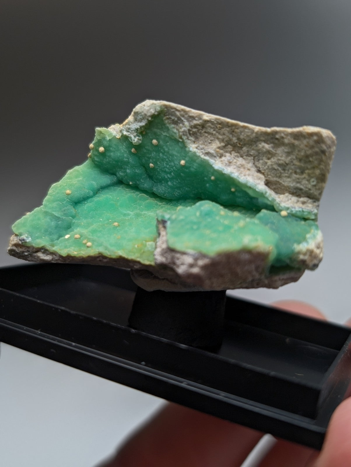 A+ wavellite on vibrant green variscite mineral specimen with rough texture and small golden specks from garland county arkansas