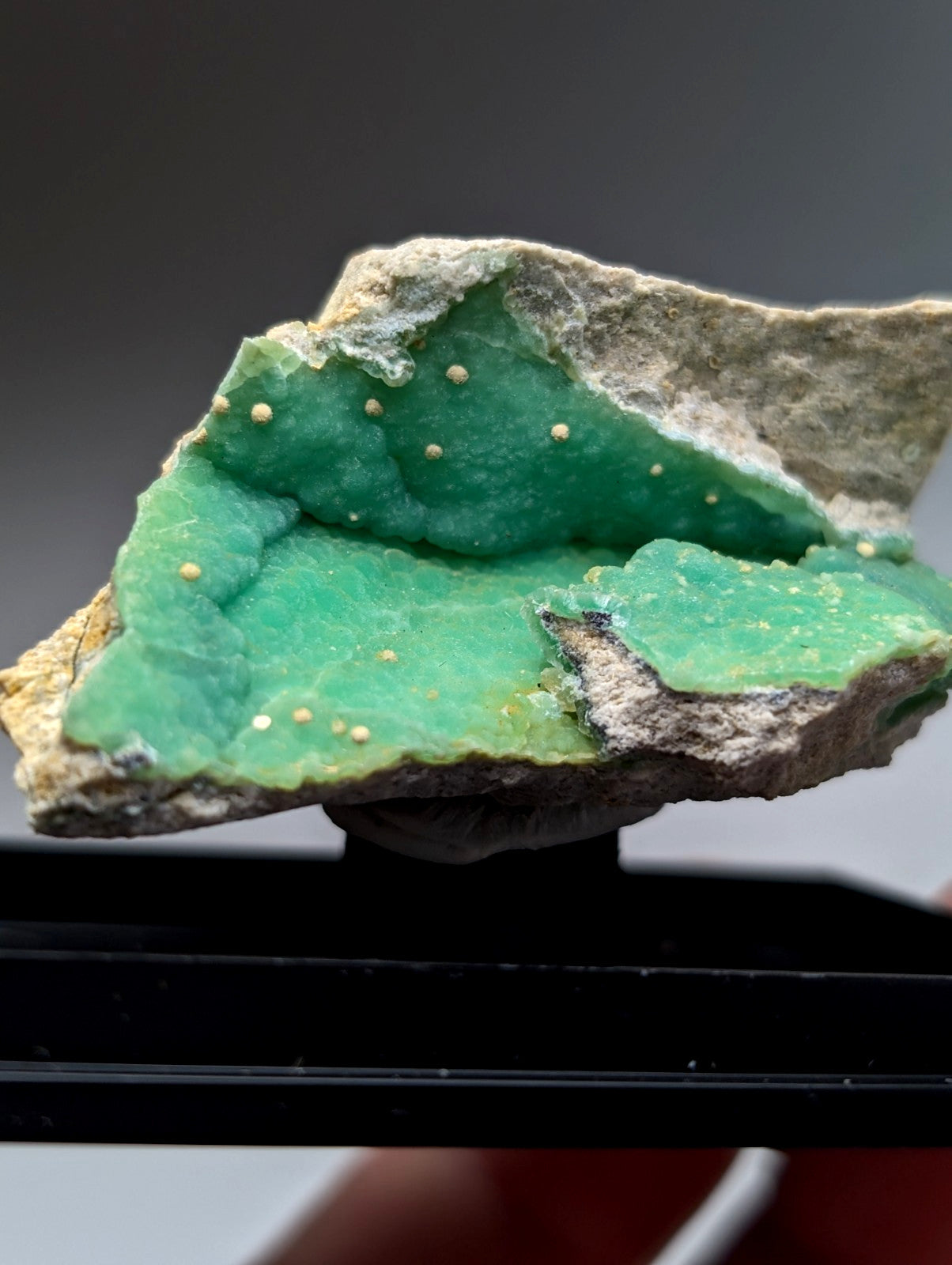 A+ wavellite on variscite specimen with vibrant green crystalline surface and golden-yellow inclusions from Arkansas