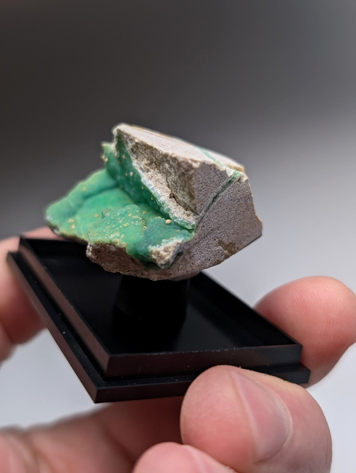 A vibrant green wavellite on grayish variscite matrix with jagged surface displayed on a black stand from Arkansas