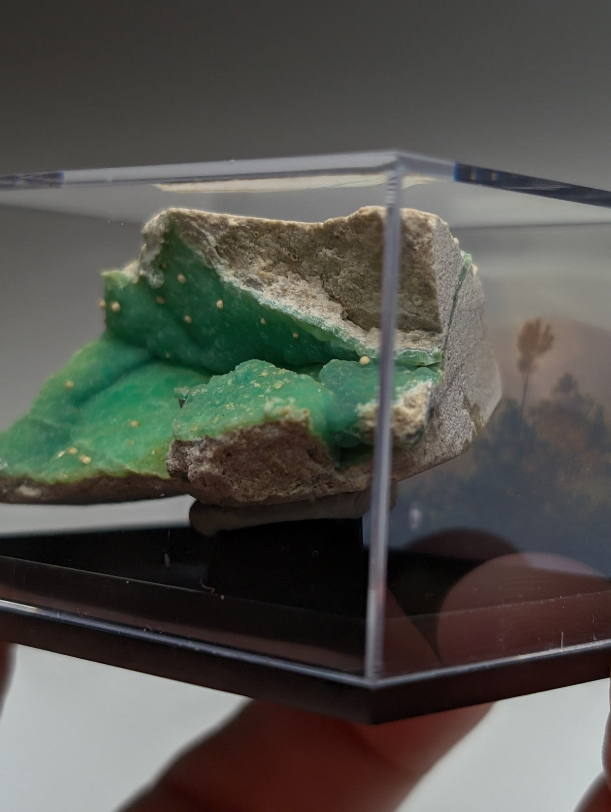 A+ wavellite on variscite mineral specimen with vibrant green rough surface and white speckles in clear acrylic case