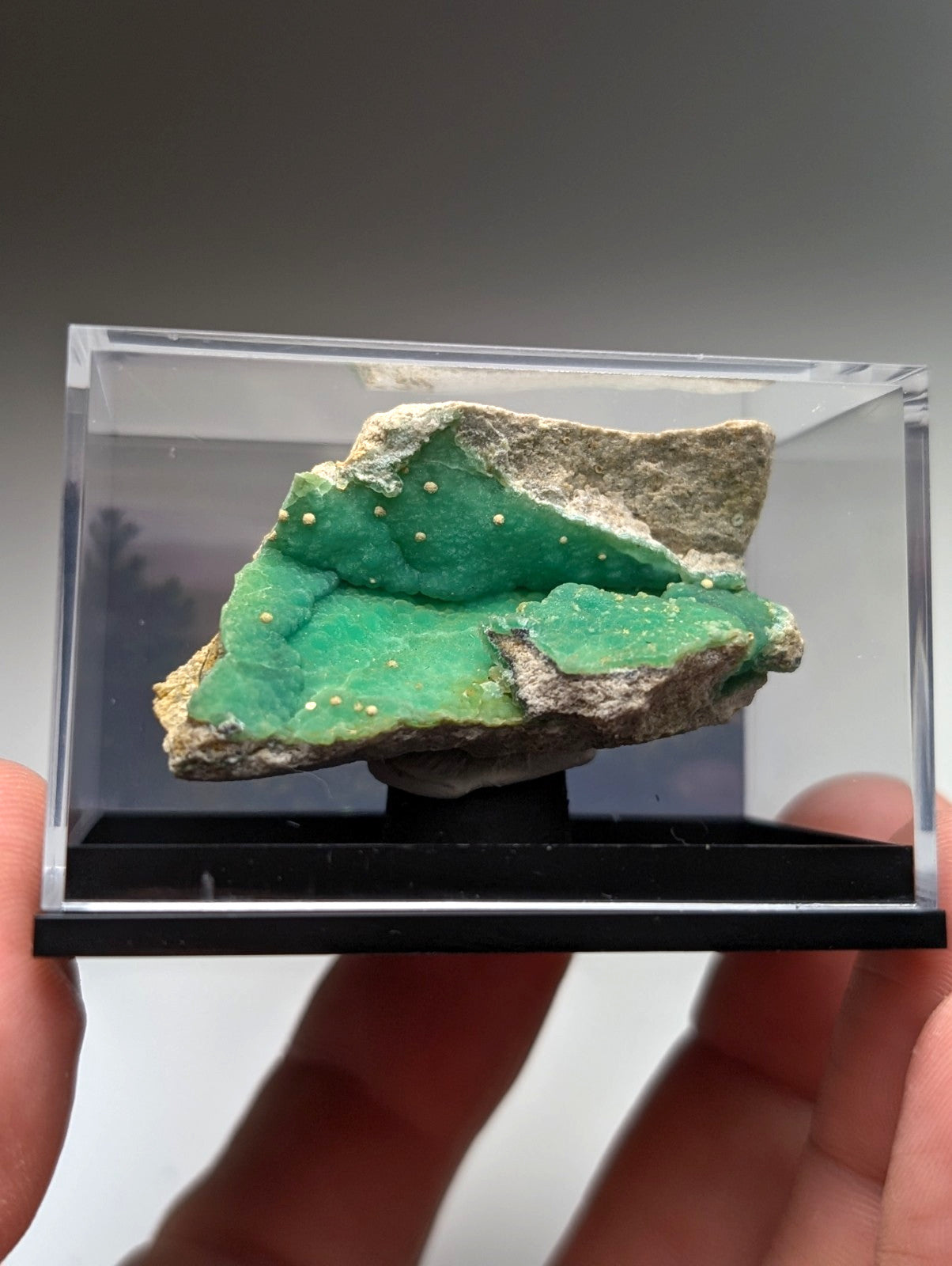 A+ wavellite on variscite vibrant green crystalline mineral specimen with speckled surface in clear acrylic display box