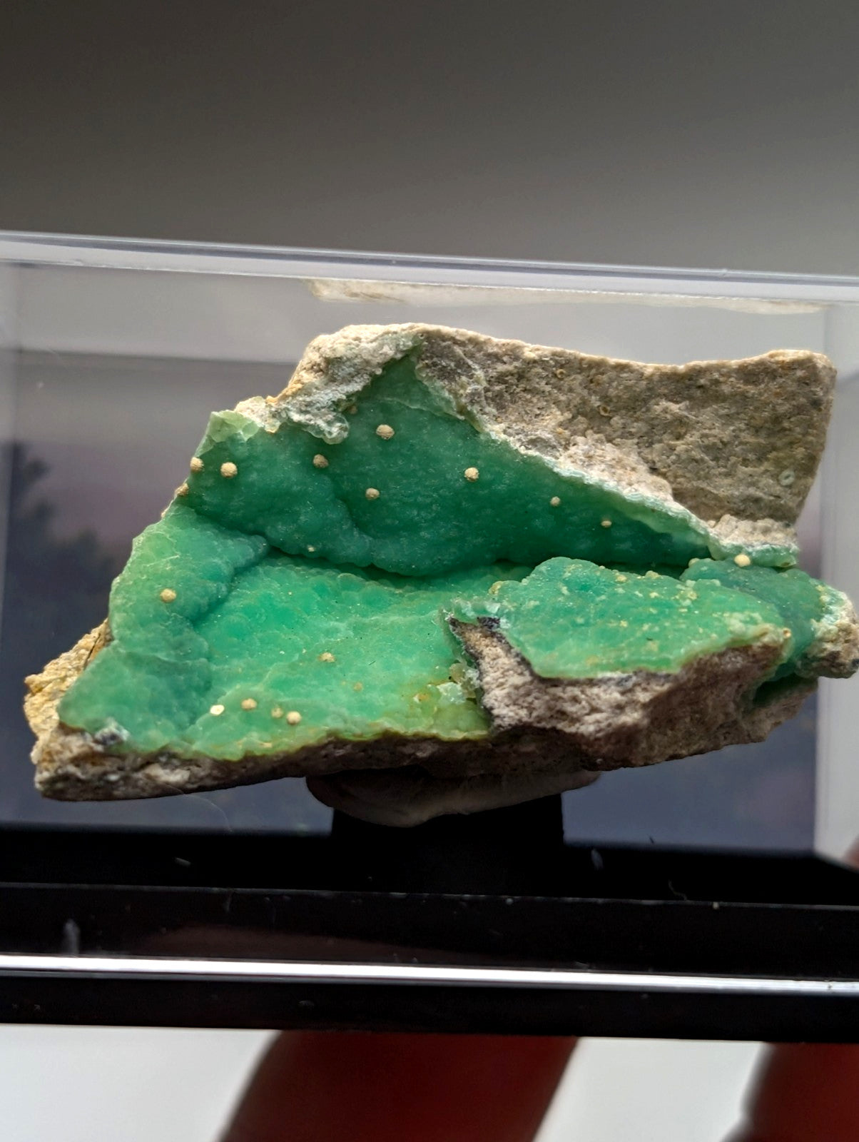 A vibrant green wavellite on variscite mineral with crystalline texture and golden-yellow specks from garland county arkansas
