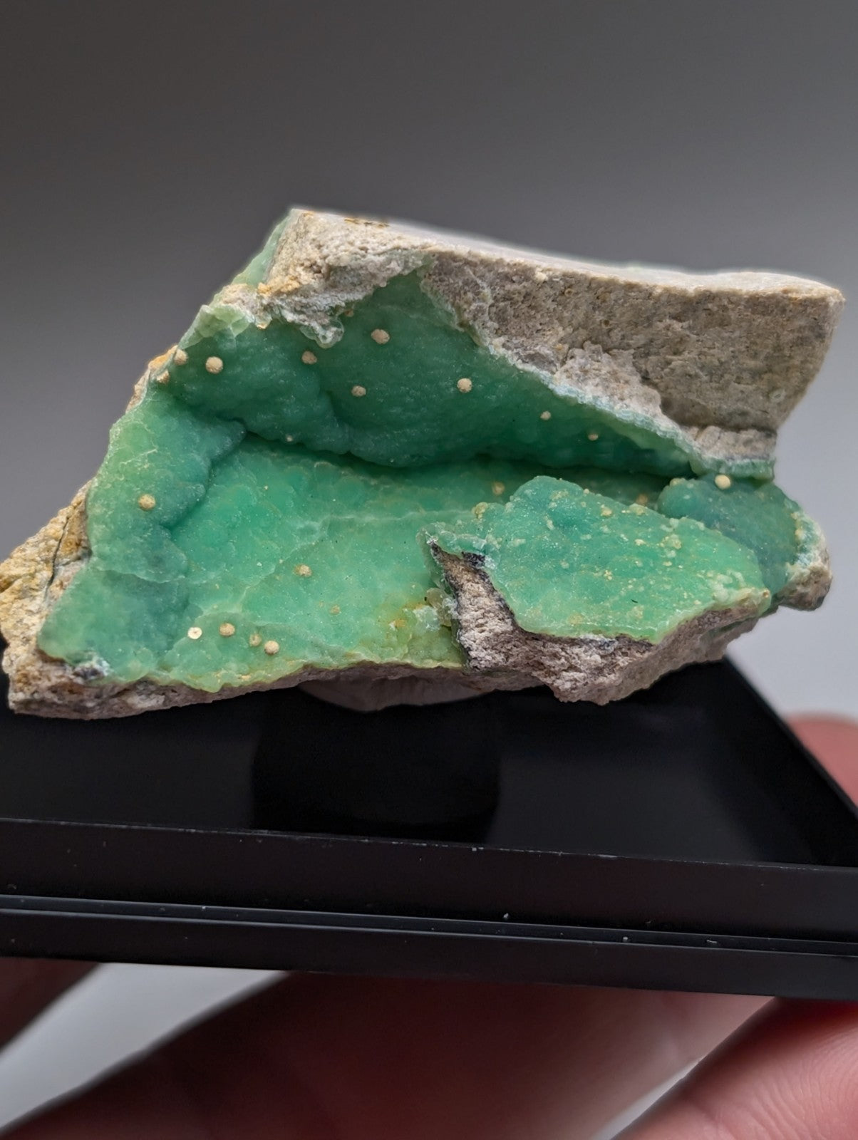 A vibrant green wavellite mineral on variscite with golden dots in gray matrix from garland county arkansas rare old stock