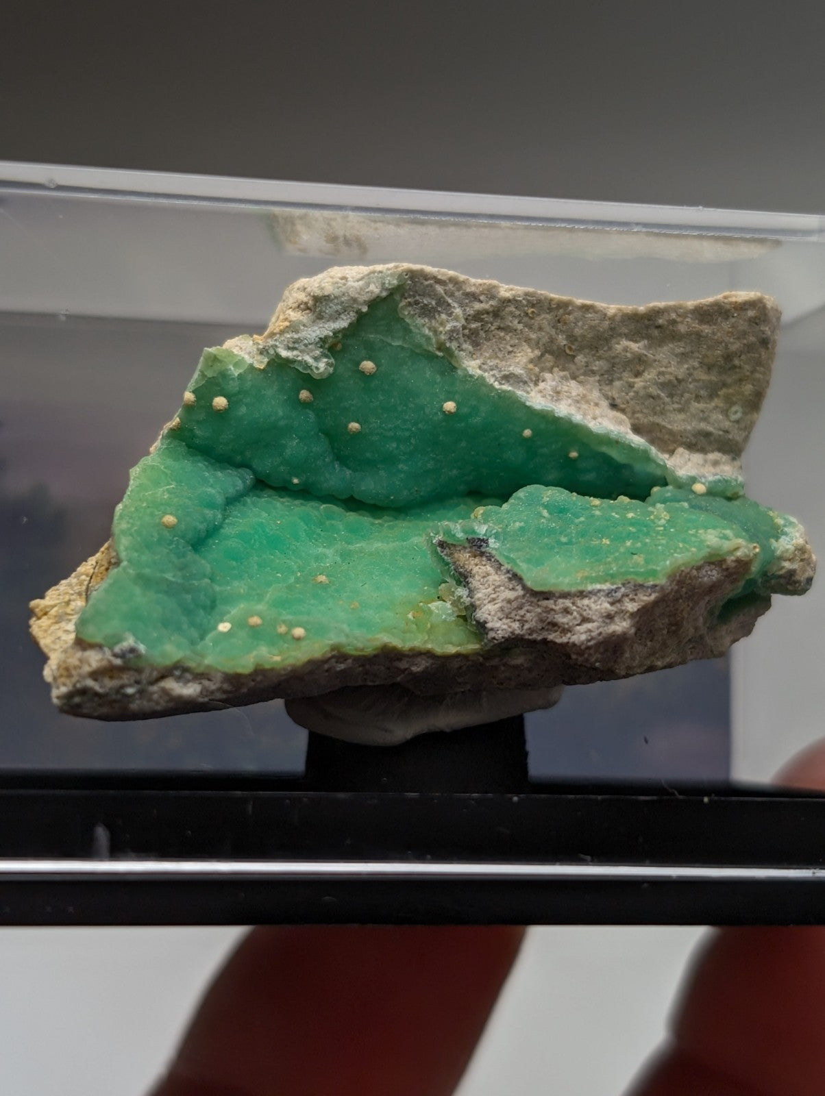 A vibrant green wavellite mineral with crystalline texture on a beige variscite matrix with white specks from arkansas