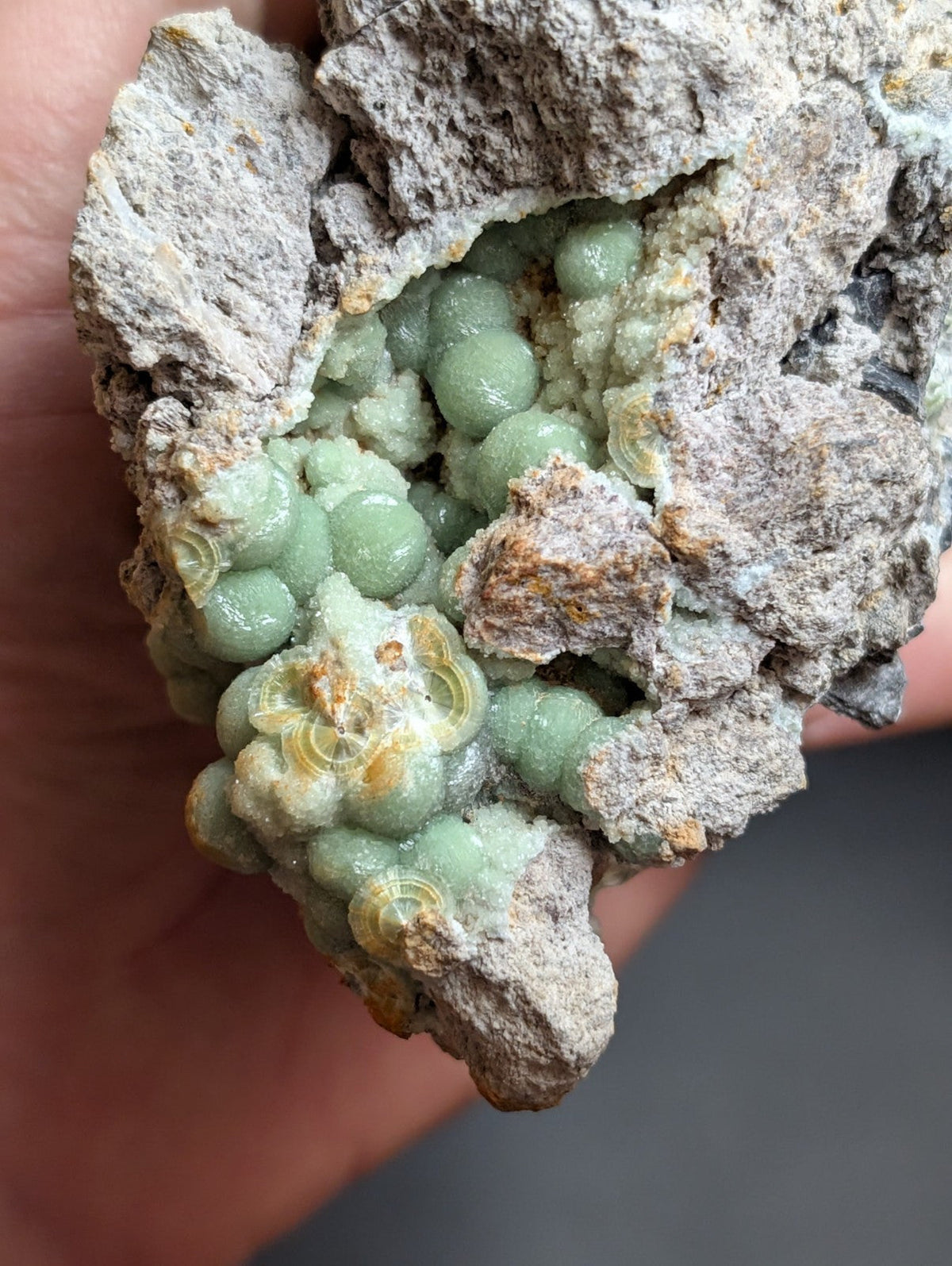 A hand holds a geological specimen featuring clusters of translucent, light green spherical crystals embedded in a rough, grayish matrix rock.