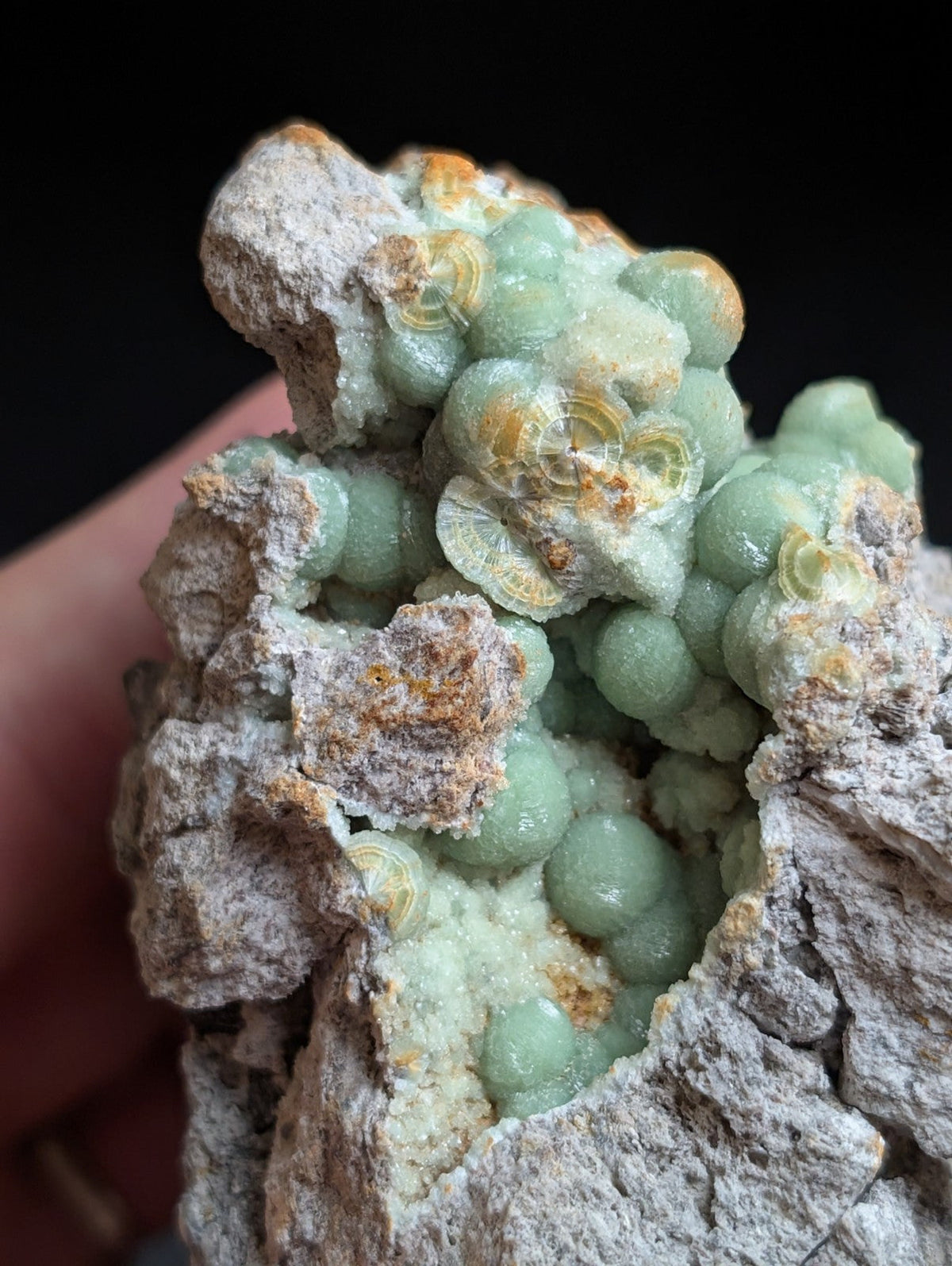 A cluster of pale green, spherical mineral formations nestled within a rough, grayish rock matrix.