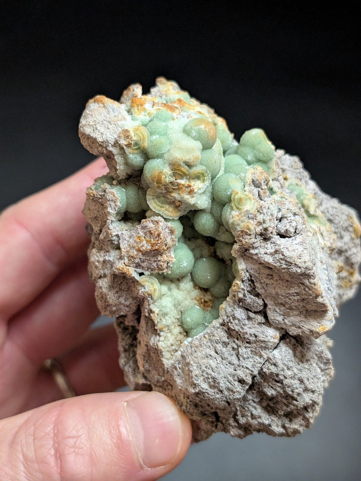 A hand holds a rough, gray rock specimen featuring clusters of smooth, light green spherical formations with hints of orange and yellow mineral veins.