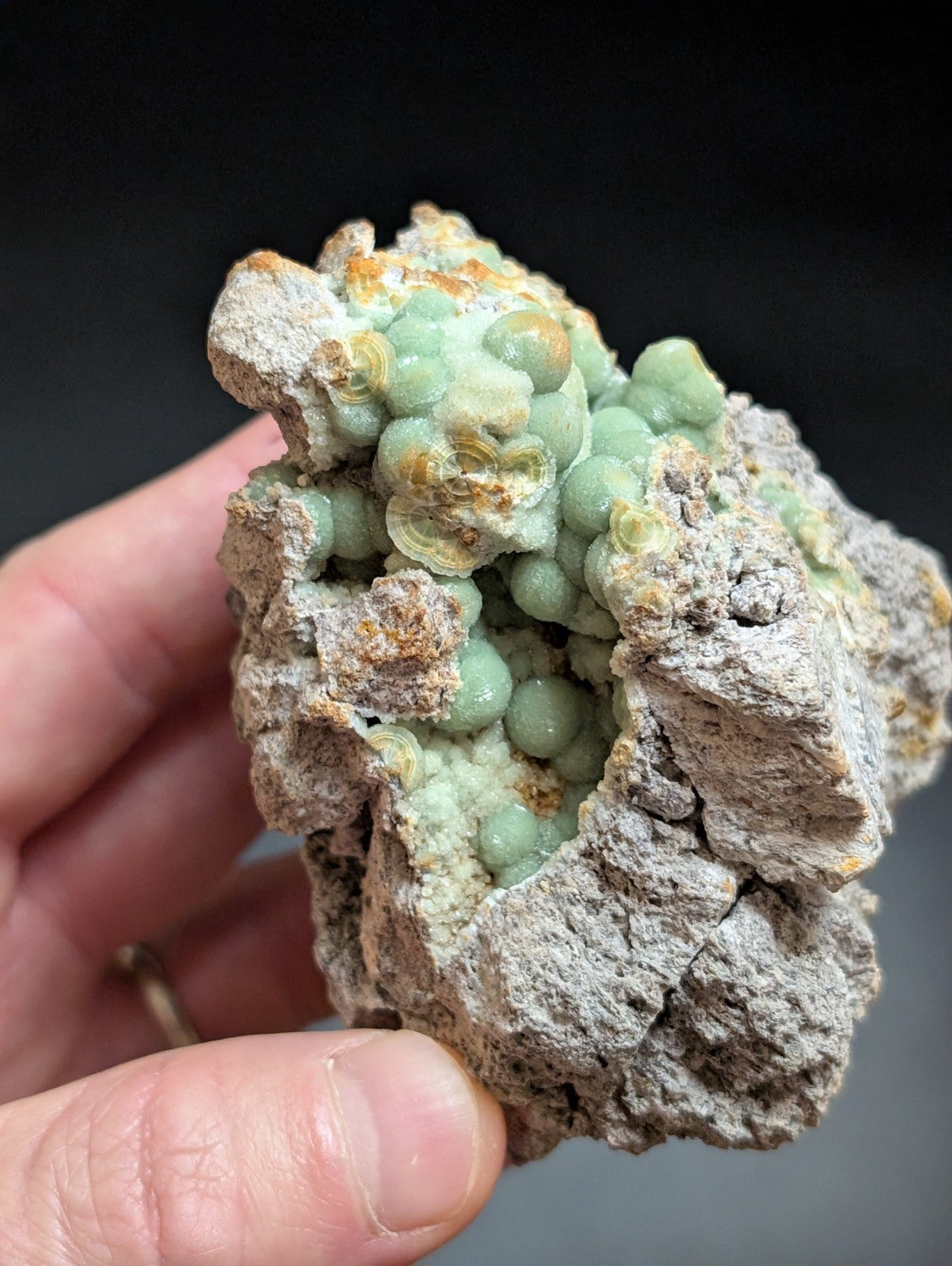 A hand holds a rough, gray rock specimen featuring clusters of smooth, light green spherical formations with hints of orange and yellow mineral veins.