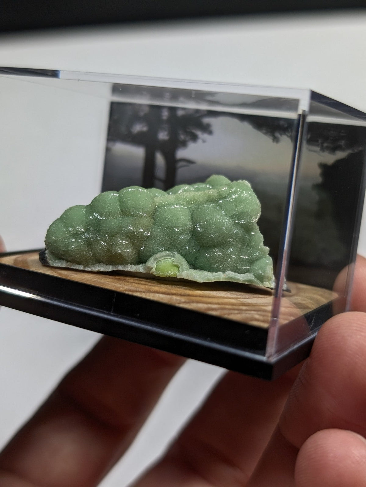 A translucent green, bubble-like mineral specimen displayed in a clear acrylic case.