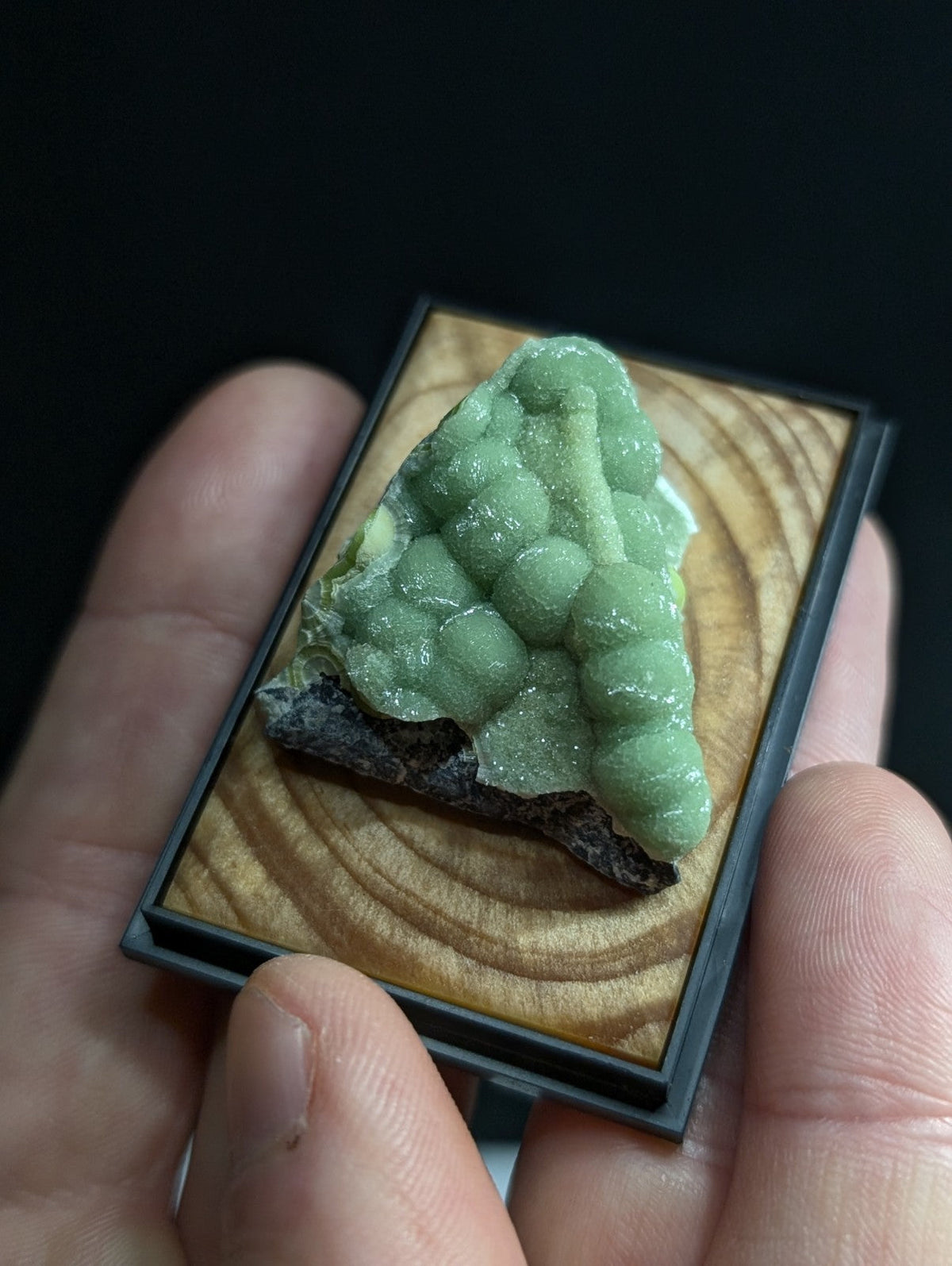 A delicate green mineral specimen with a bumpy, clustered texture is displayed in a small black-framed wooden showcase.
