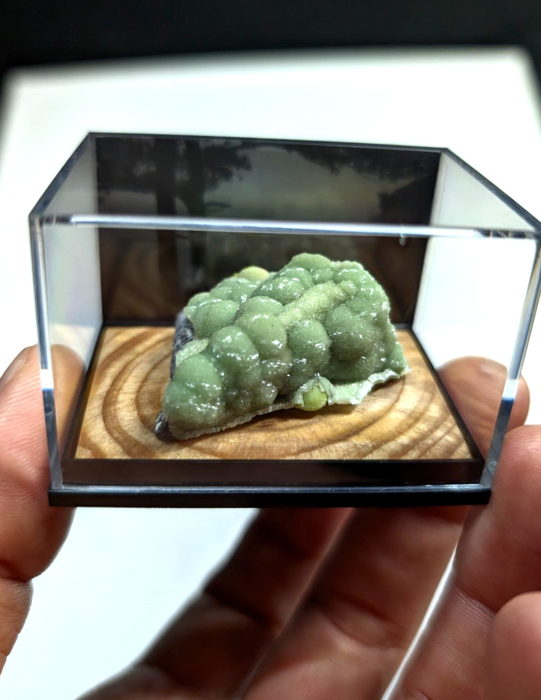 A green, bumpy mineral specimen displayed in a clear acrylic display case with a wooden base.