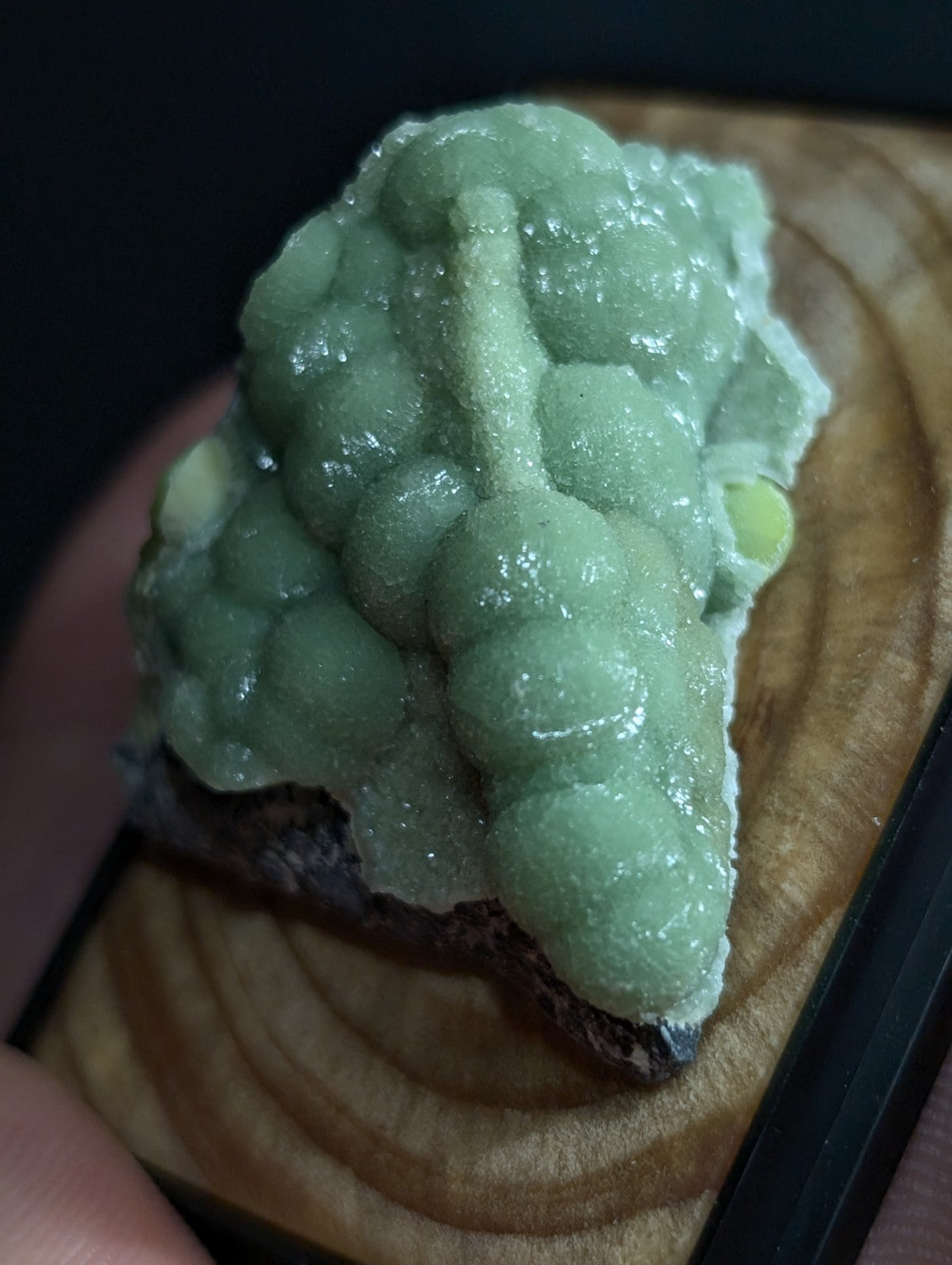 A pale green, bubbly mineral specimen with a crystalline texture and rounded formations.