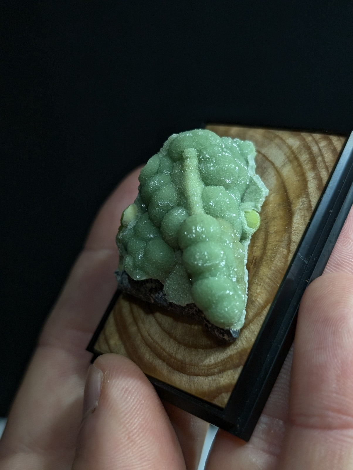 A green, brain-shaped mineral specimen with a textured surface and small yellowish nodules.