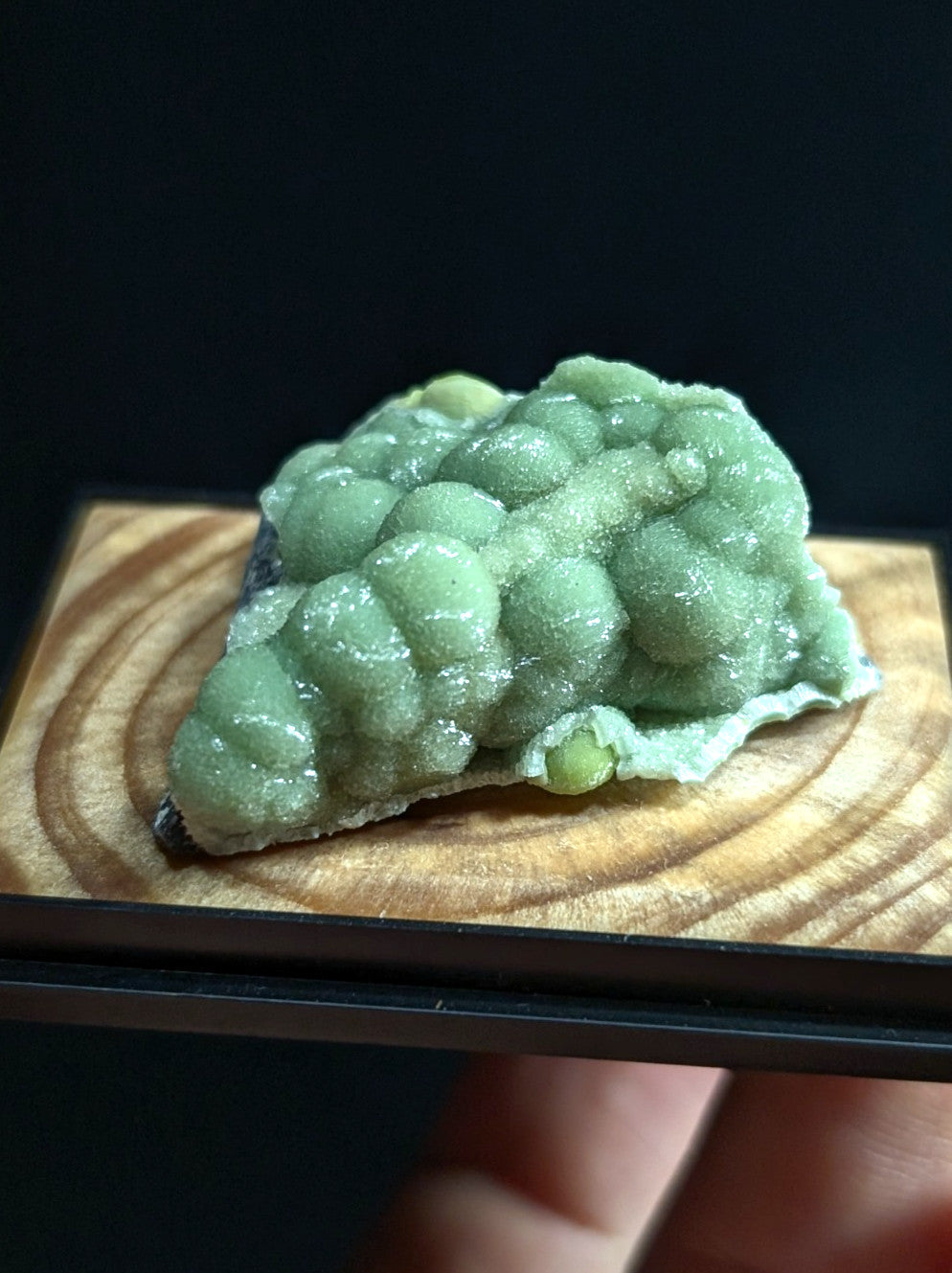 A delicate, light green confection shaped like a cluster of grapes rests on a wooden display board.