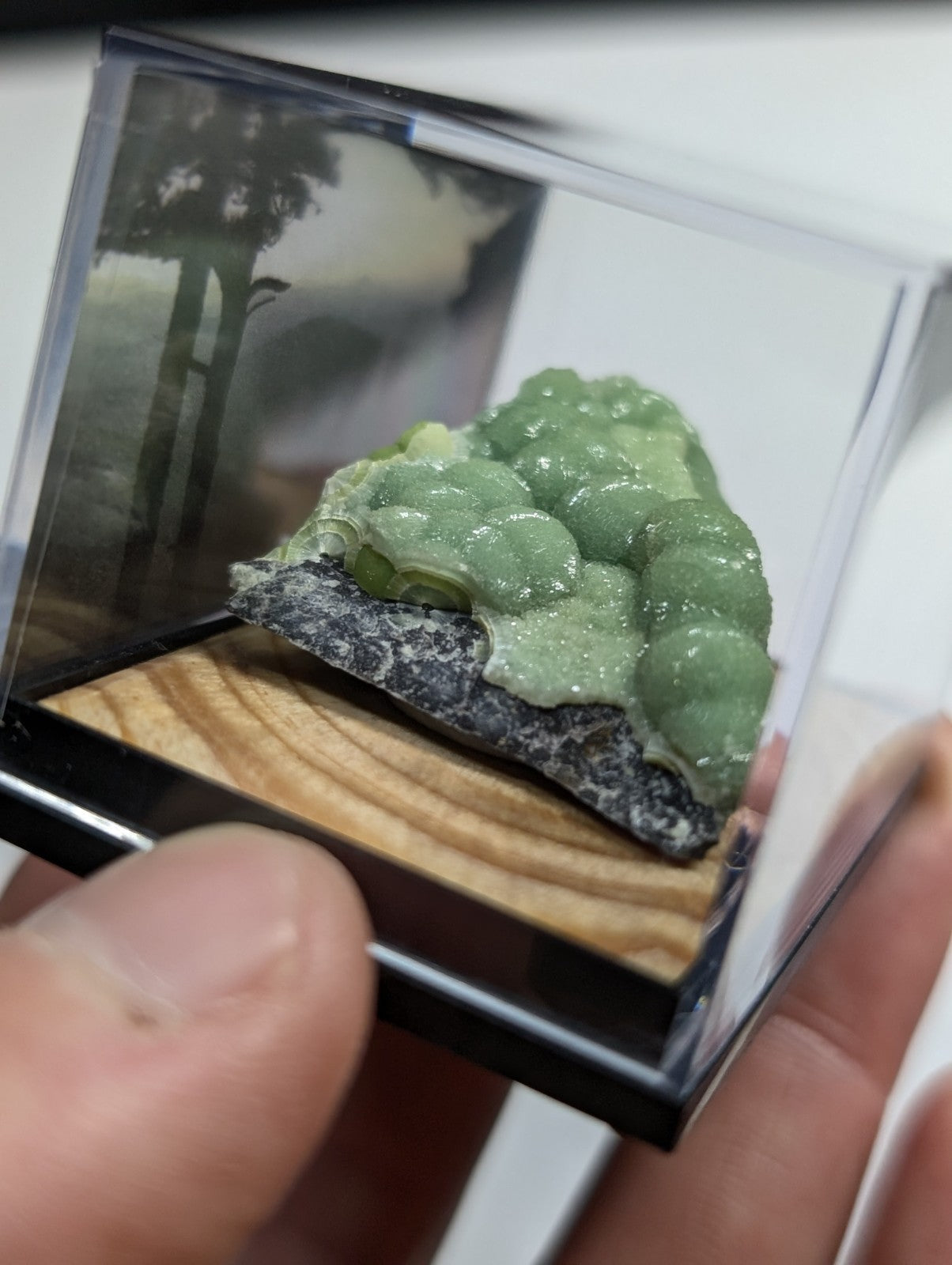 A vibrant green, bubble-like mineral specimen nestled in a clear acrylic display case with a wooden base.