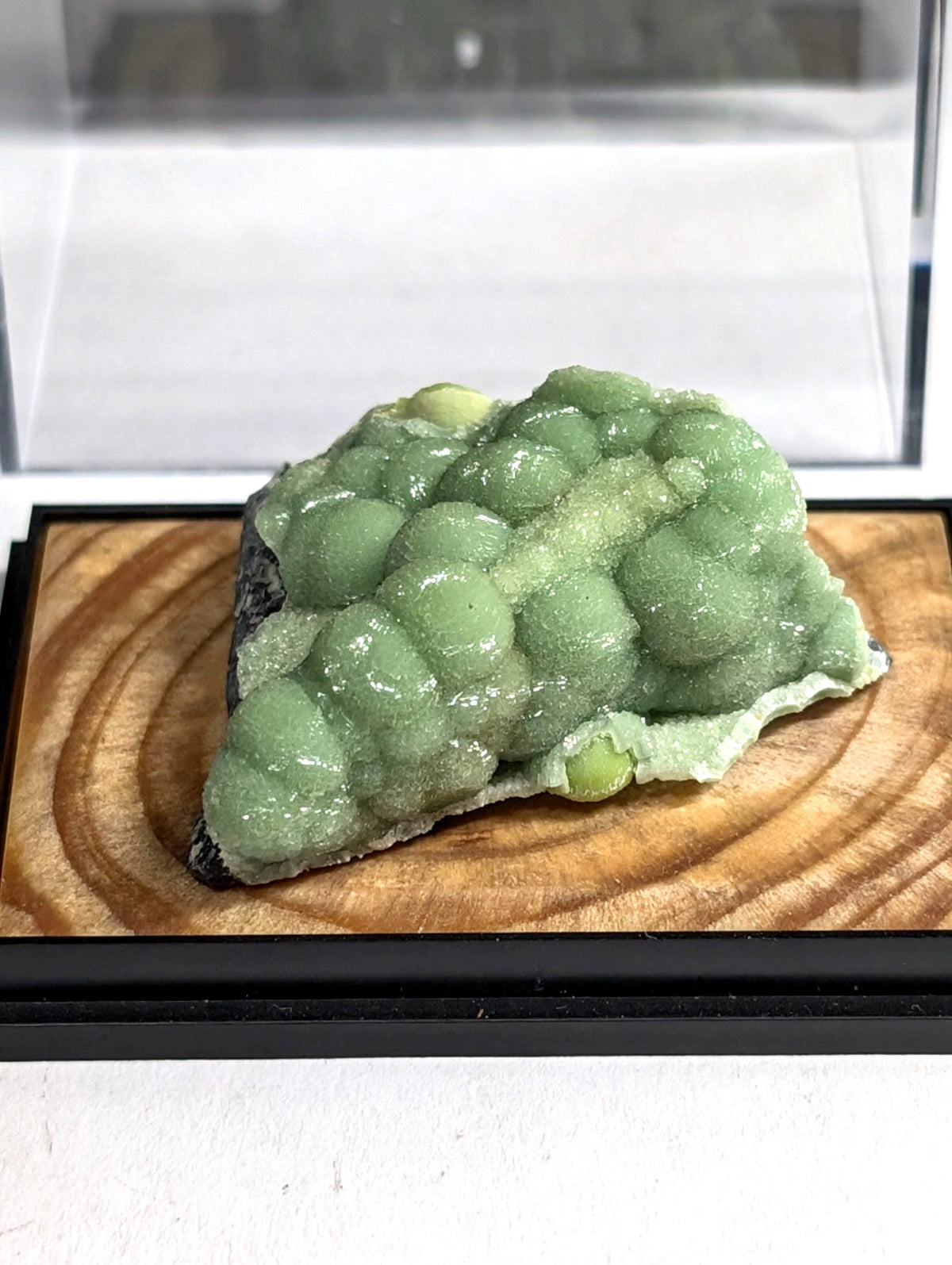 A translucent green, bumpy mineral specimen with a glossy surface and dark base.