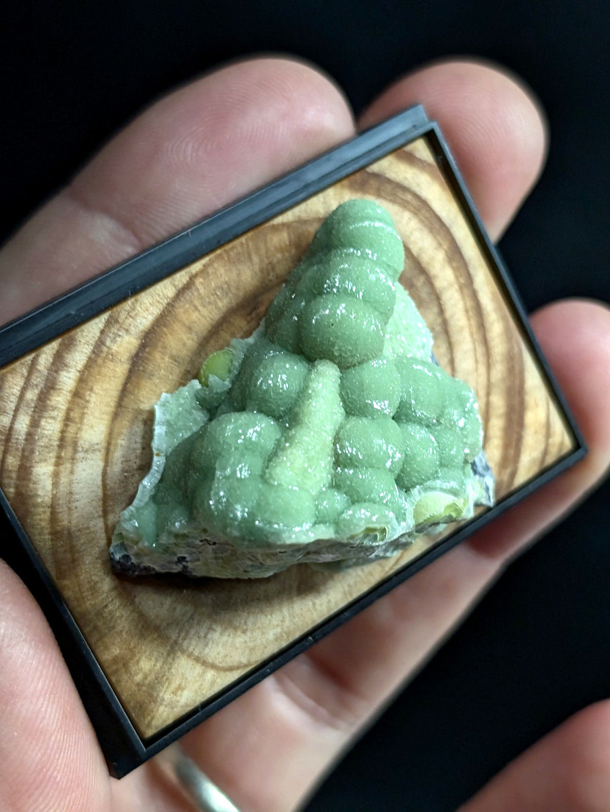 A vibrant green, bubble-like mineral specimen displayed in a black-framed wooden showcase.