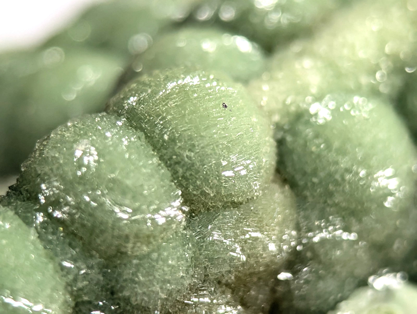 A cluster of translucent, light green mineral formations with a glossy, crystalline surface.