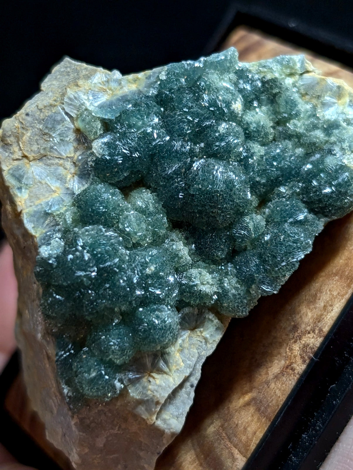 A striking teal-green fluorite crystal cluster with a textured, bubbly surface growing from a light gray rock base.