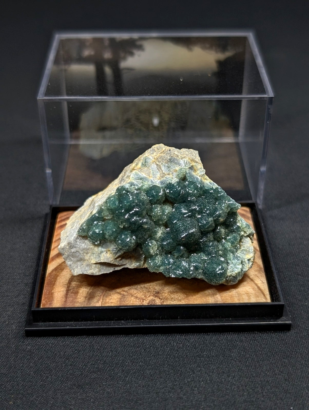 A vibrant green emerald crystal cluster nestled within a rugged, light-colored rock matrix.