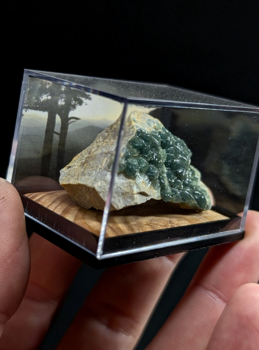 A green, bumpy mineral specimen nestled in a clear acrylic display case with a wooden base.
