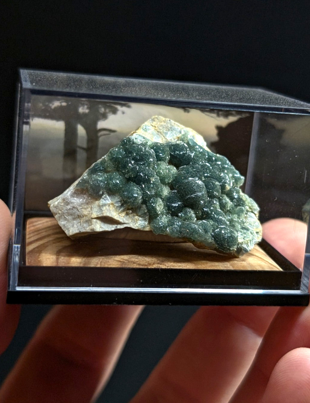 A green, crystalline mineral specimen with a rough, textured surface and embedded white matrix is displayed in a clear acrylic display case.