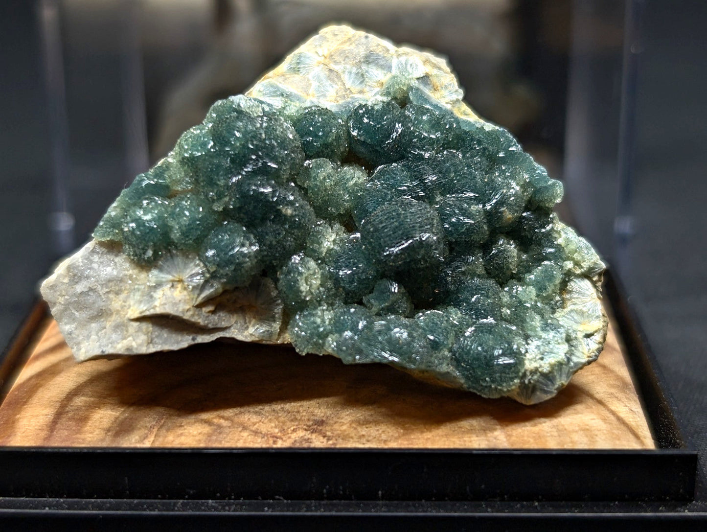 A vibrant green fluorite crystal cluster growing from a light-colored rock base, displayed in an elegant wooden showcase.