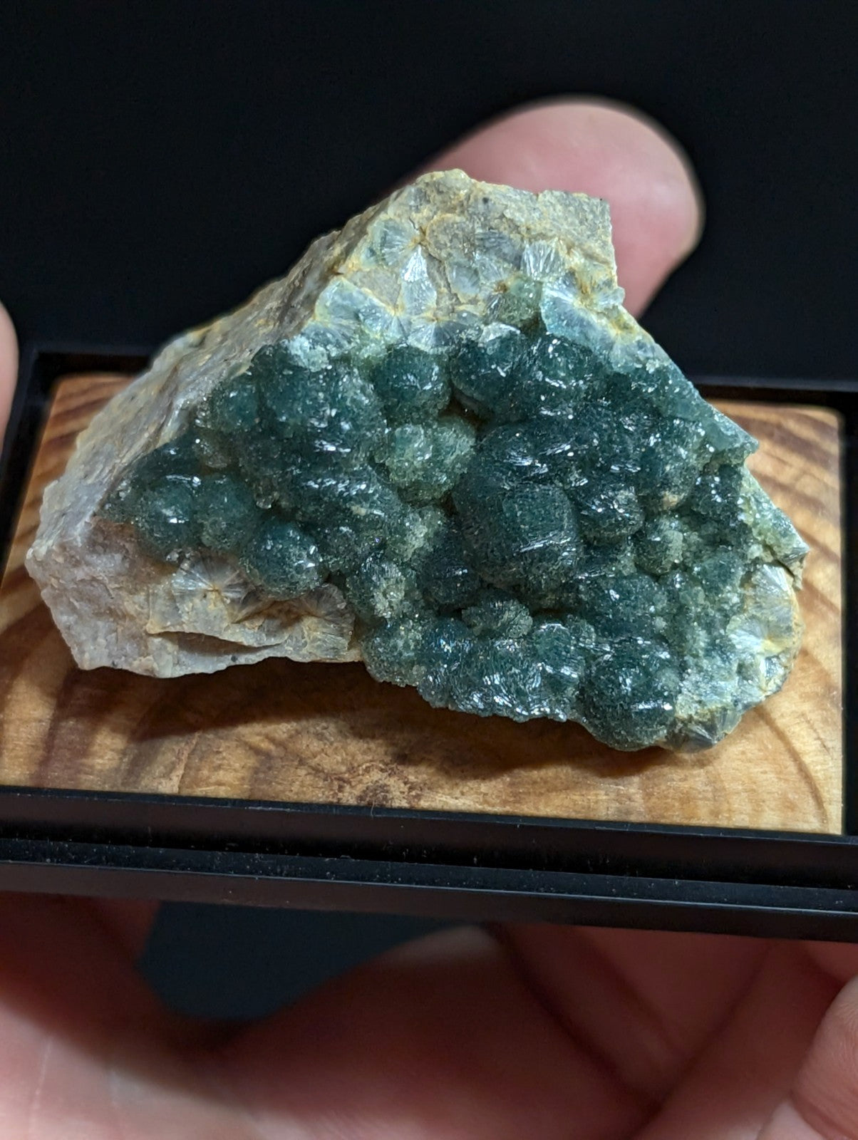 A vibrant green mineral specimen with a crystalline, bumpy surface nestled in its natural rock matrix.