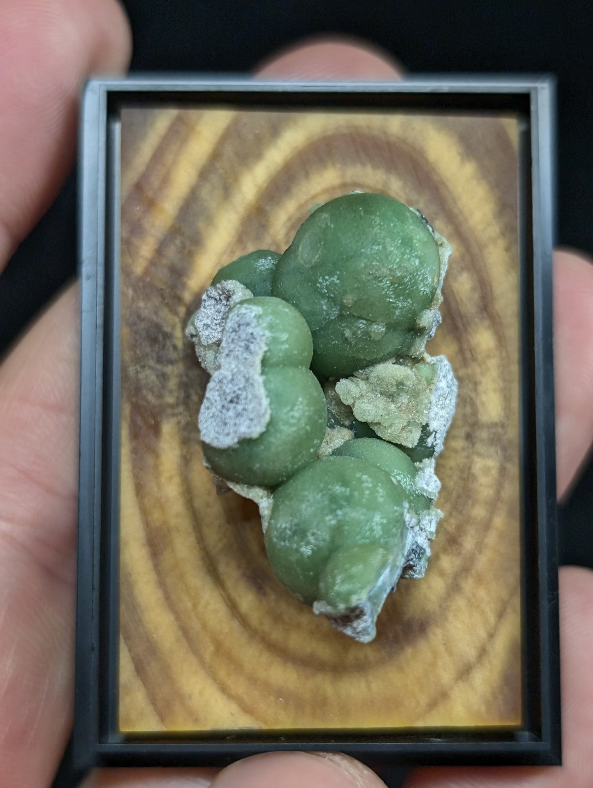 A framed green concretion with rounded, bulbous formations and a powdery white coating.
