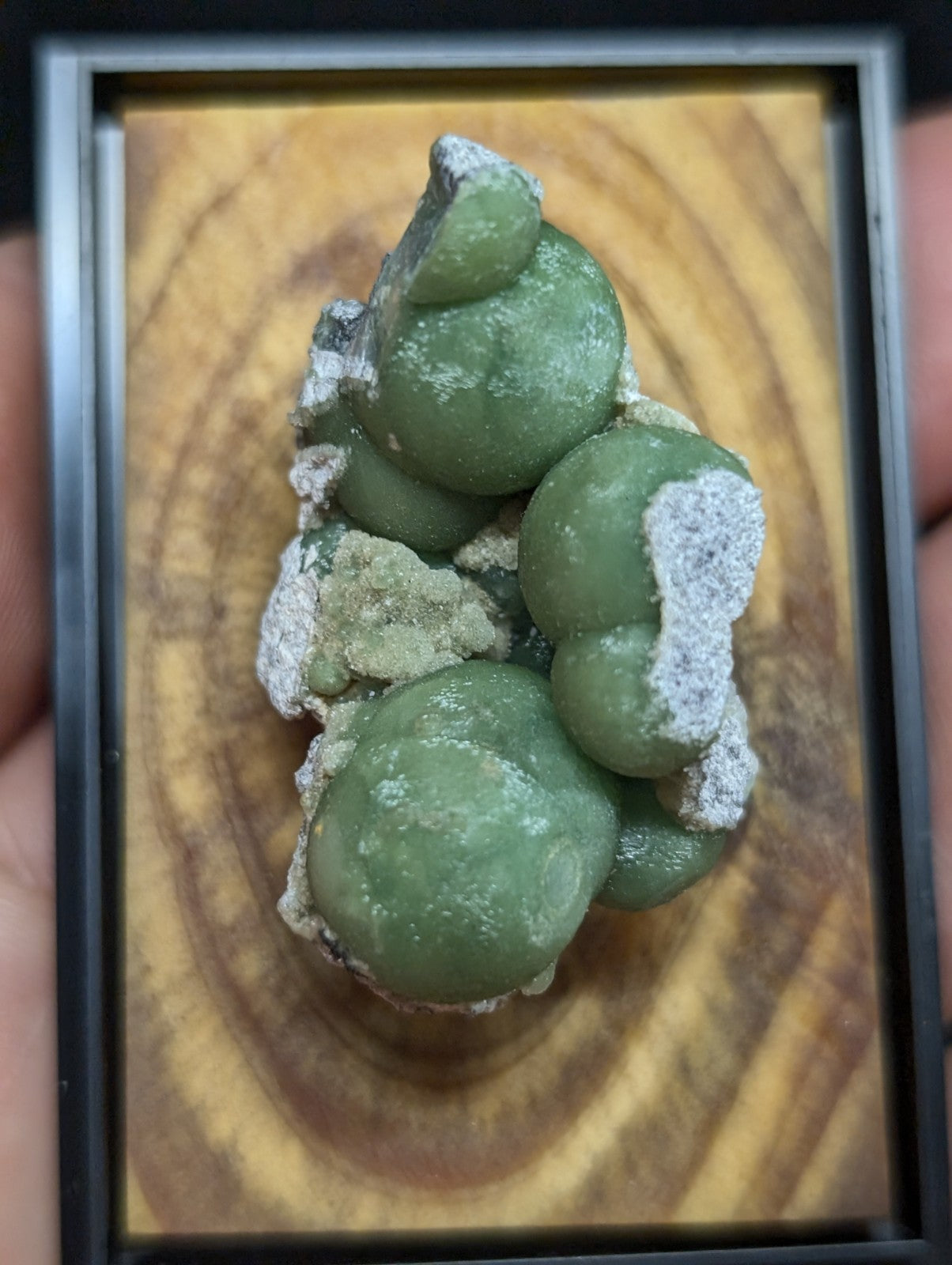 A green, rounded stone formation with white mineral patches displayed in a framed wooden presentation case.