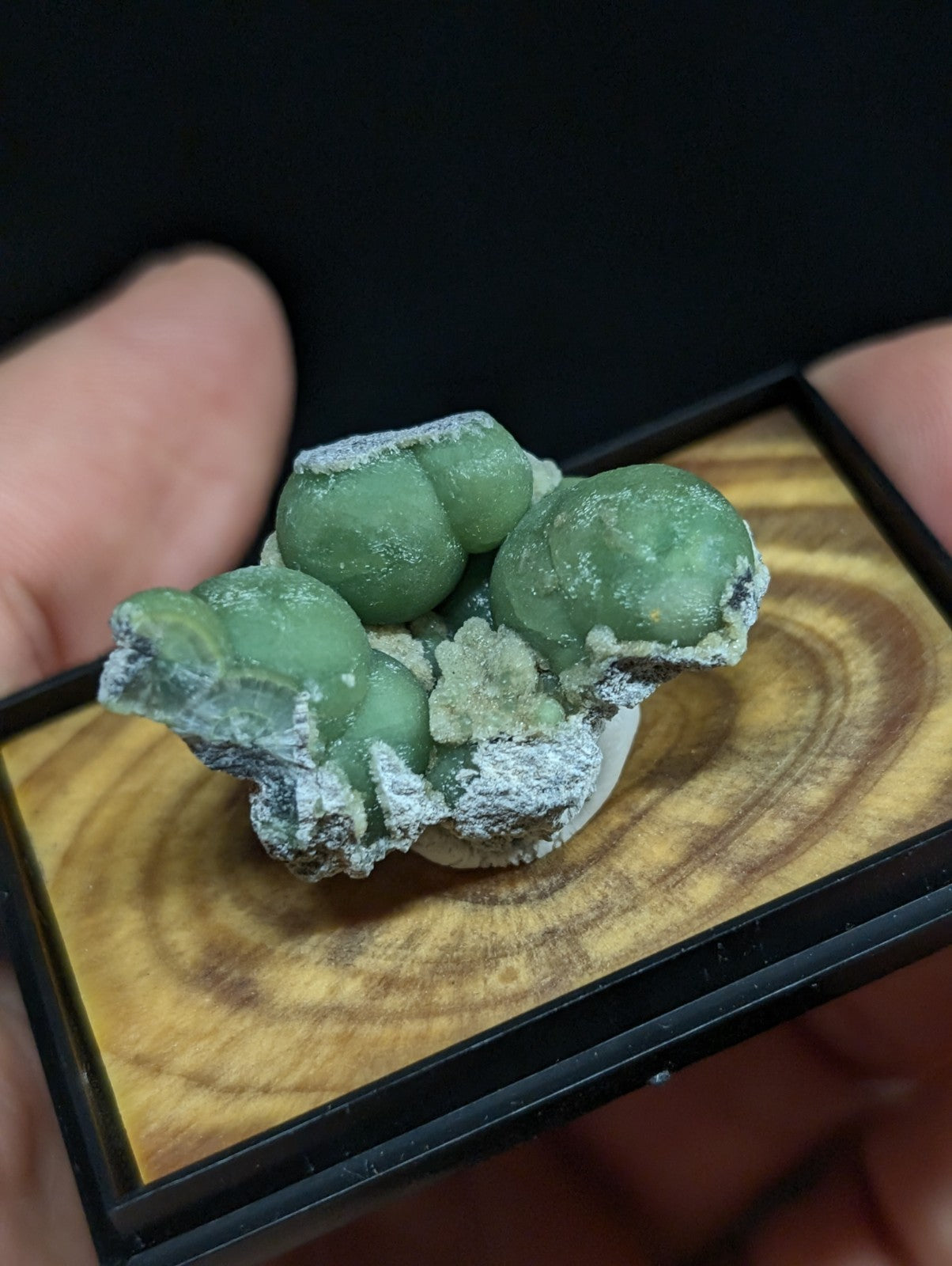 A green, spherical mineral specimen with a crystalline texture and white veining is displayed on a wooden base within a black-framed presentation box.