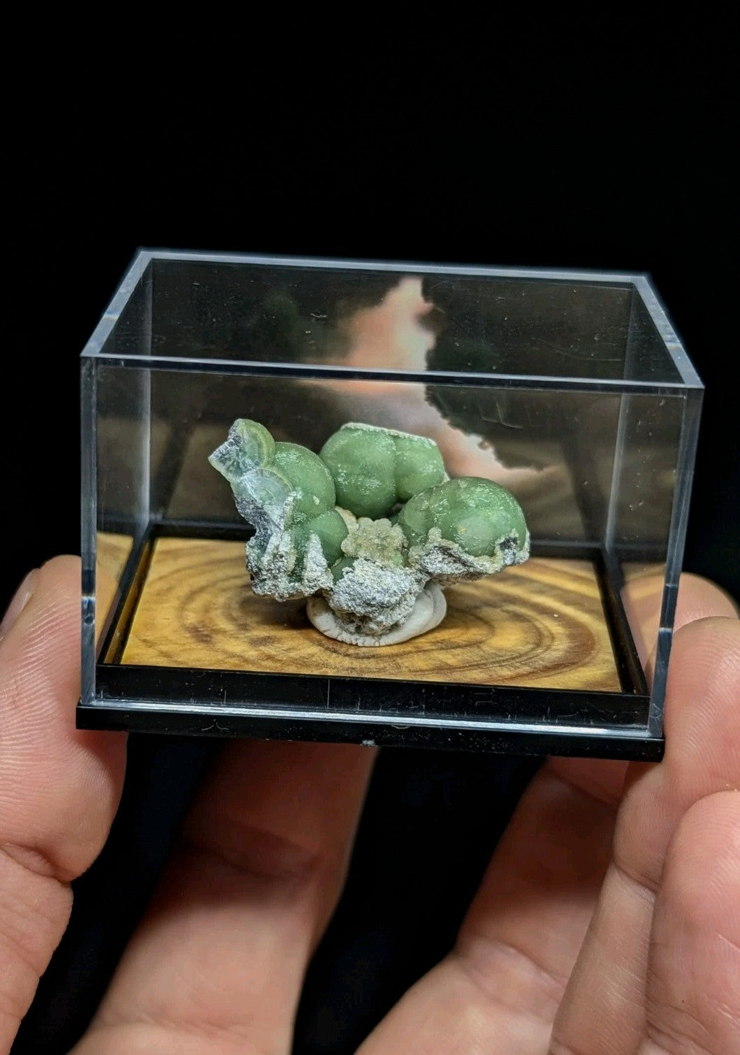 A green, spherical mineral specimen with a crystalline texture and white veining is displayed in a clear acrylic box.