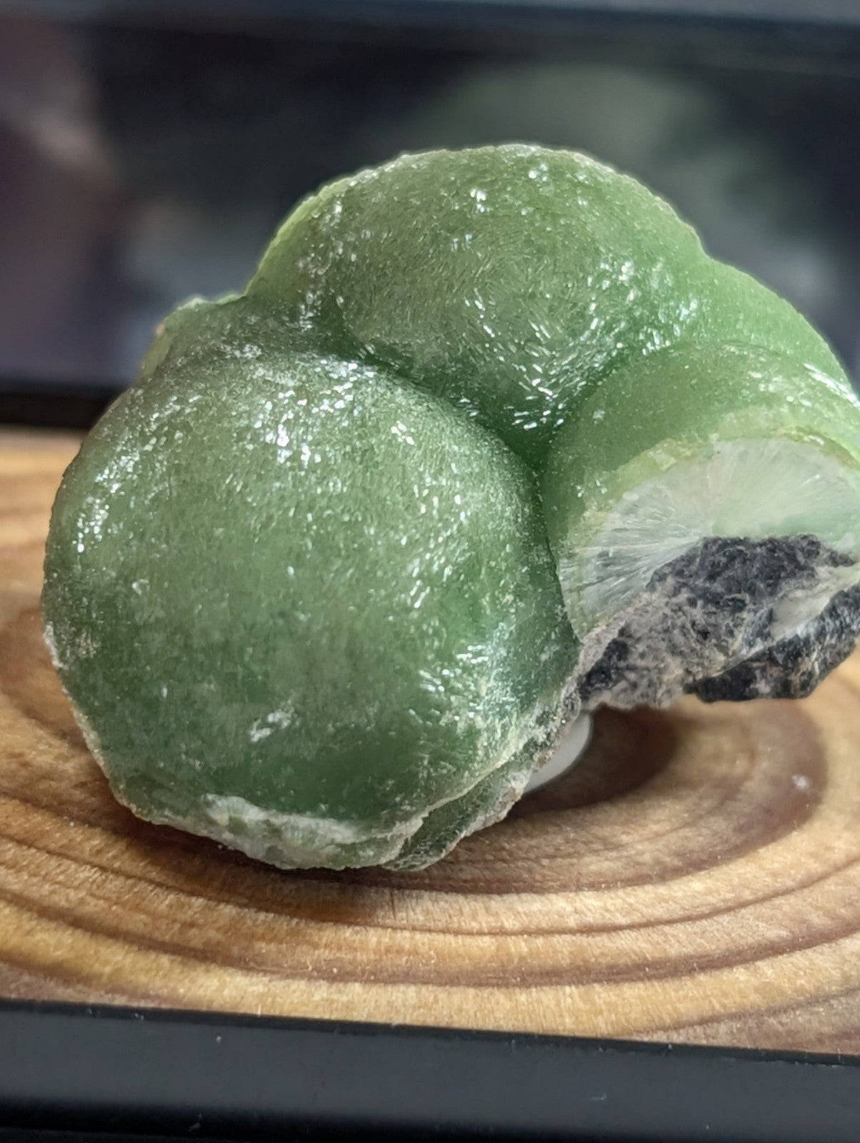 A smooth, translucent green mineral specimen with a rounded, bulbous shape and a partially exposed dark gray interior.