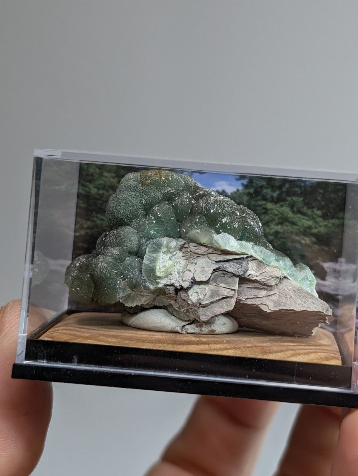 A translucent green fluorite crystal formation with a rough, gray rock base displayed in a clear acrylic display case.