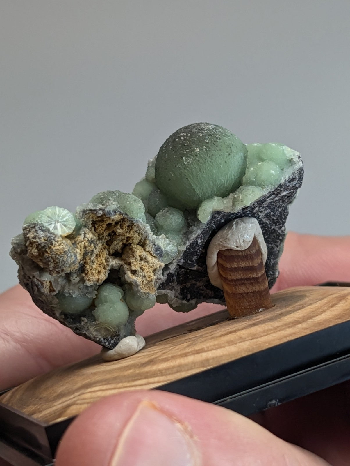 A green, spherical mineral specimen with a rough-textured matrix and embedded smaller crystals.