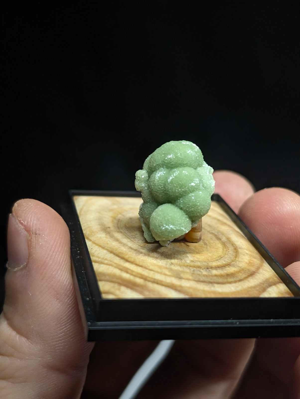 A delicate, light green, bubble-like mineral specimen with a smooth, slightly translucent surface rests on a small wooden display base.