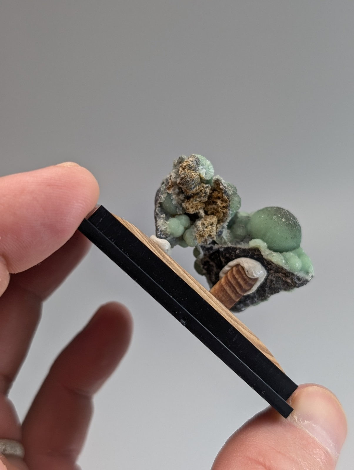 A miniature green and brown mineral specimen mounted on a black-framed wooden display base.