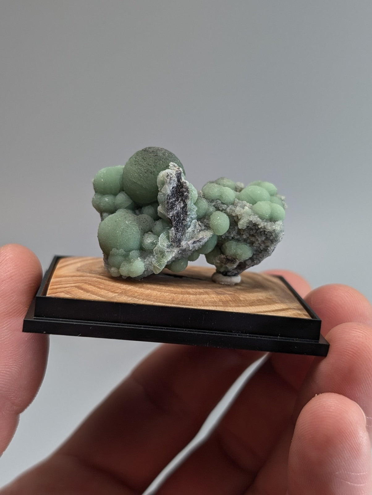 A delicate greenish-blue mineral specimen with rounded, bubble-like formations and a dark gray matrix, displayed on a wooden base within a black frame.