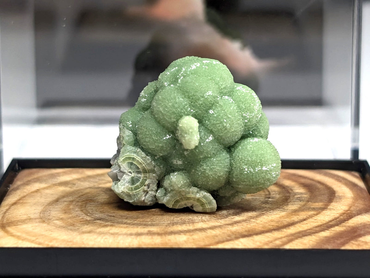 A vibrant green, crystalline mineral specimen with rounded, bubble-like formations and a translucent quality.