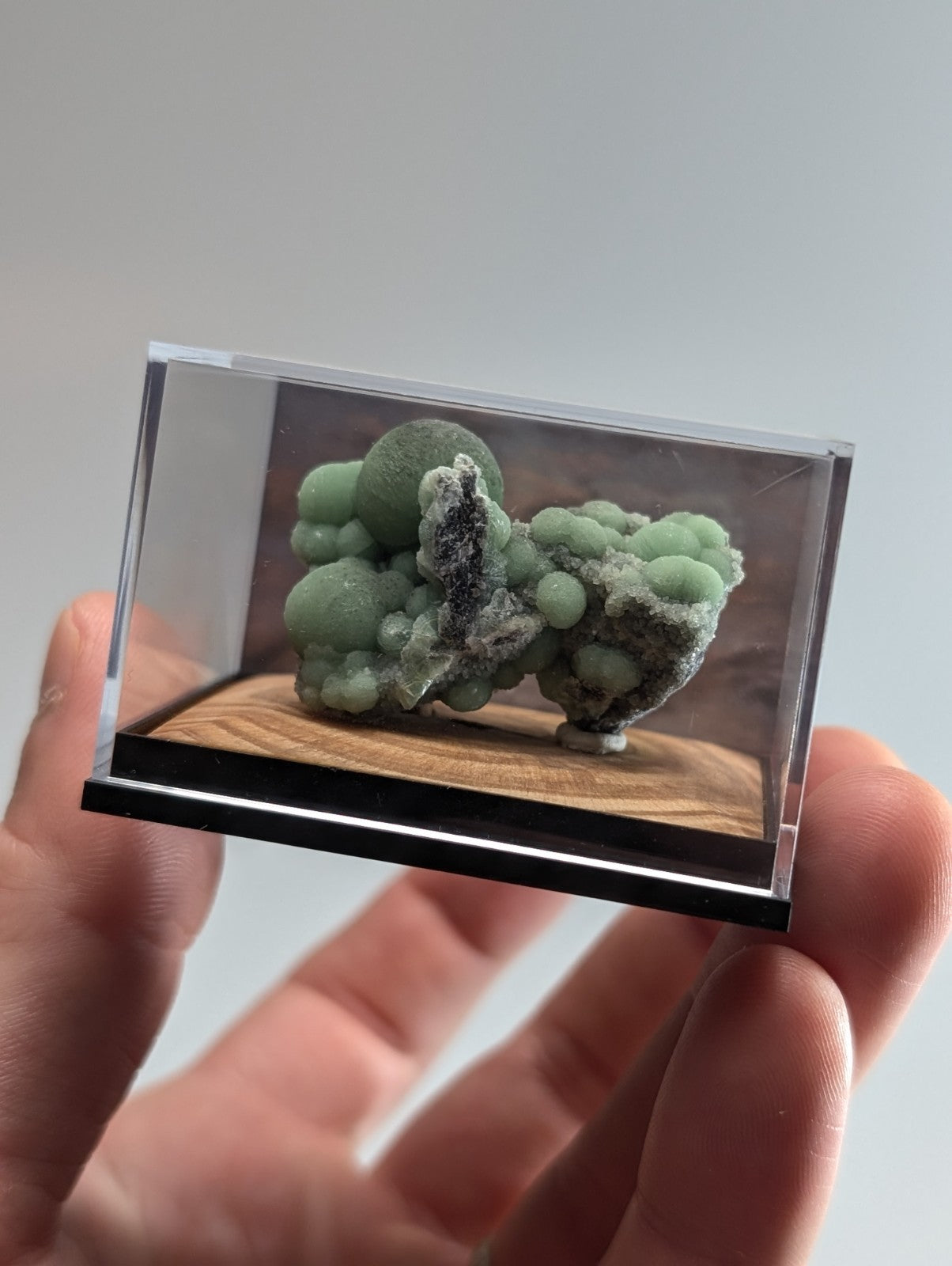 A delicate green and gray mineral specimen, encased in a clear acrylic display box with a wooden base.
