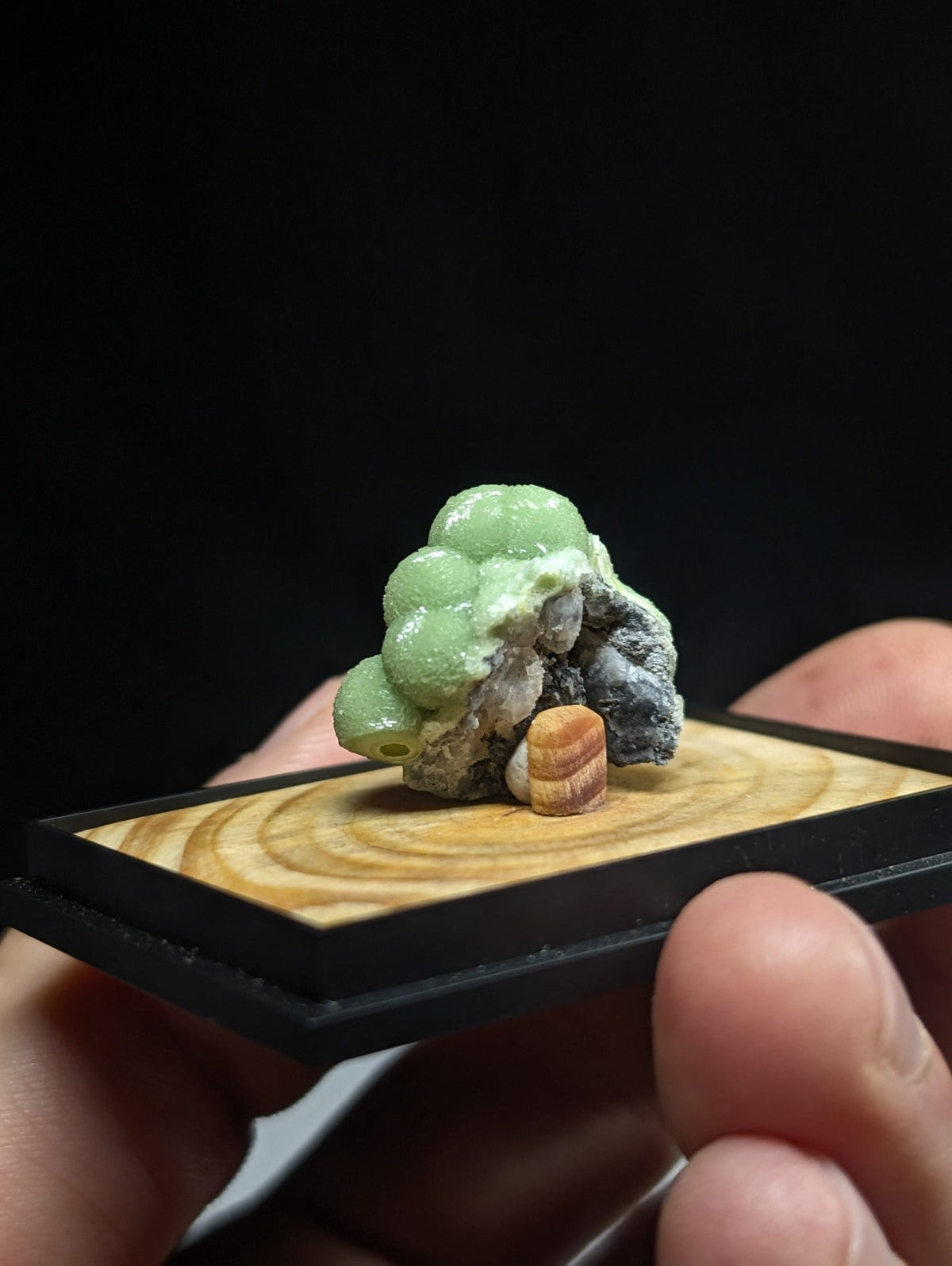 A delicate green mineral specimen with a bumpy, clustered texture rests atop a natural wood display base.