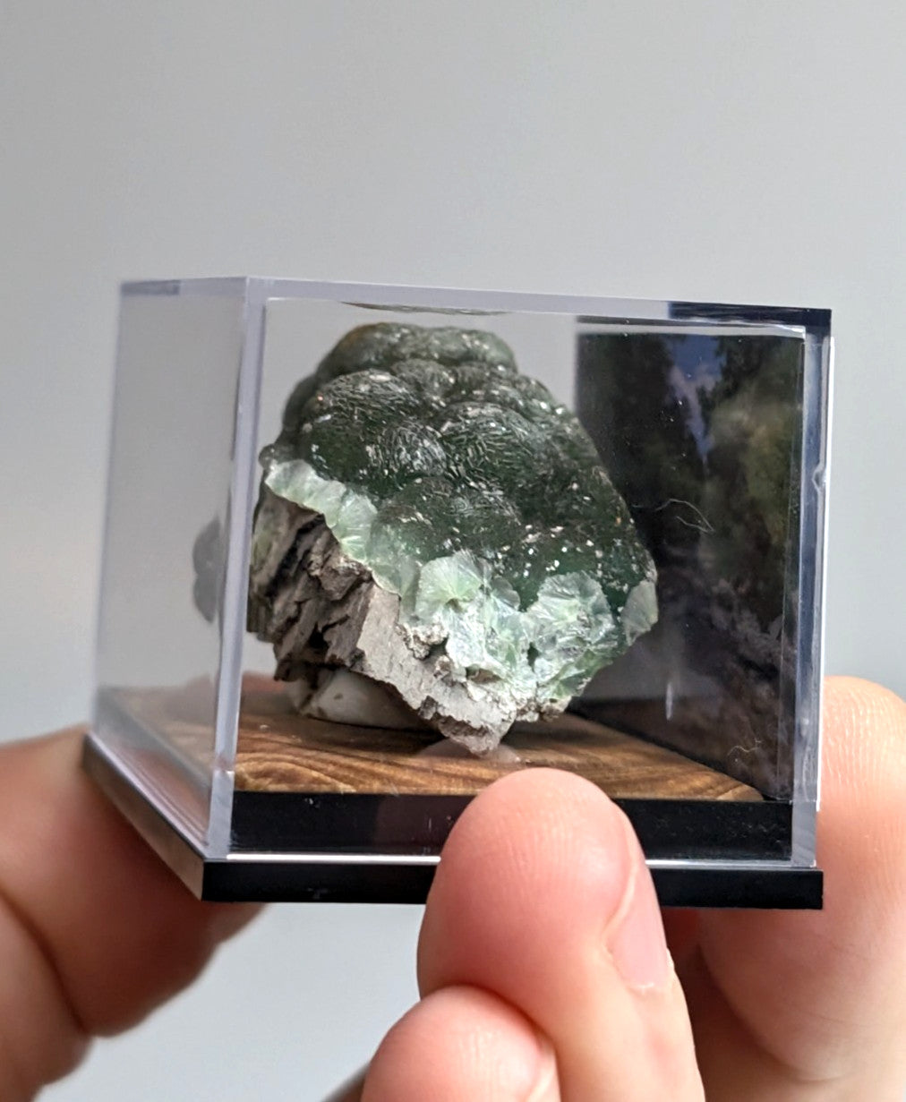 A green and white mineral specimen displayed in a clear acrylic display case.