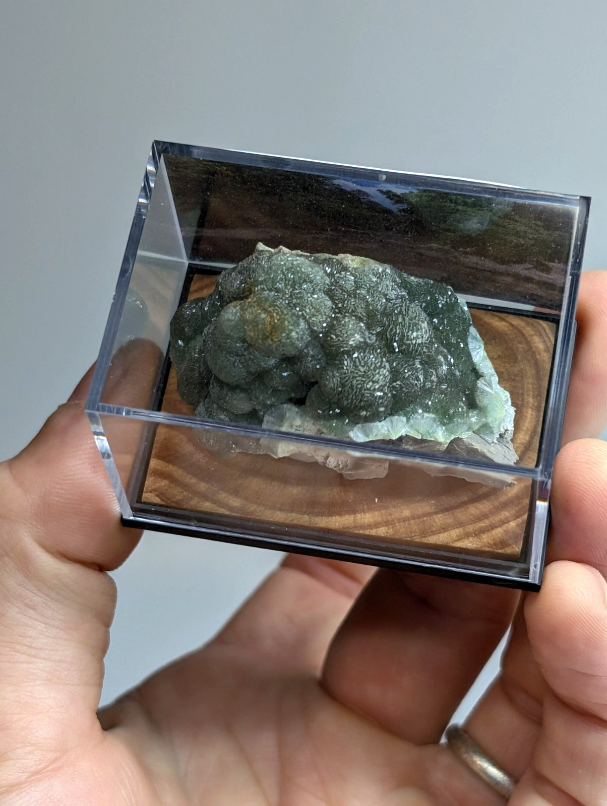 A green, bumpy mineral specimen with a crystalline texture is displayed inside a clear acrylic box.