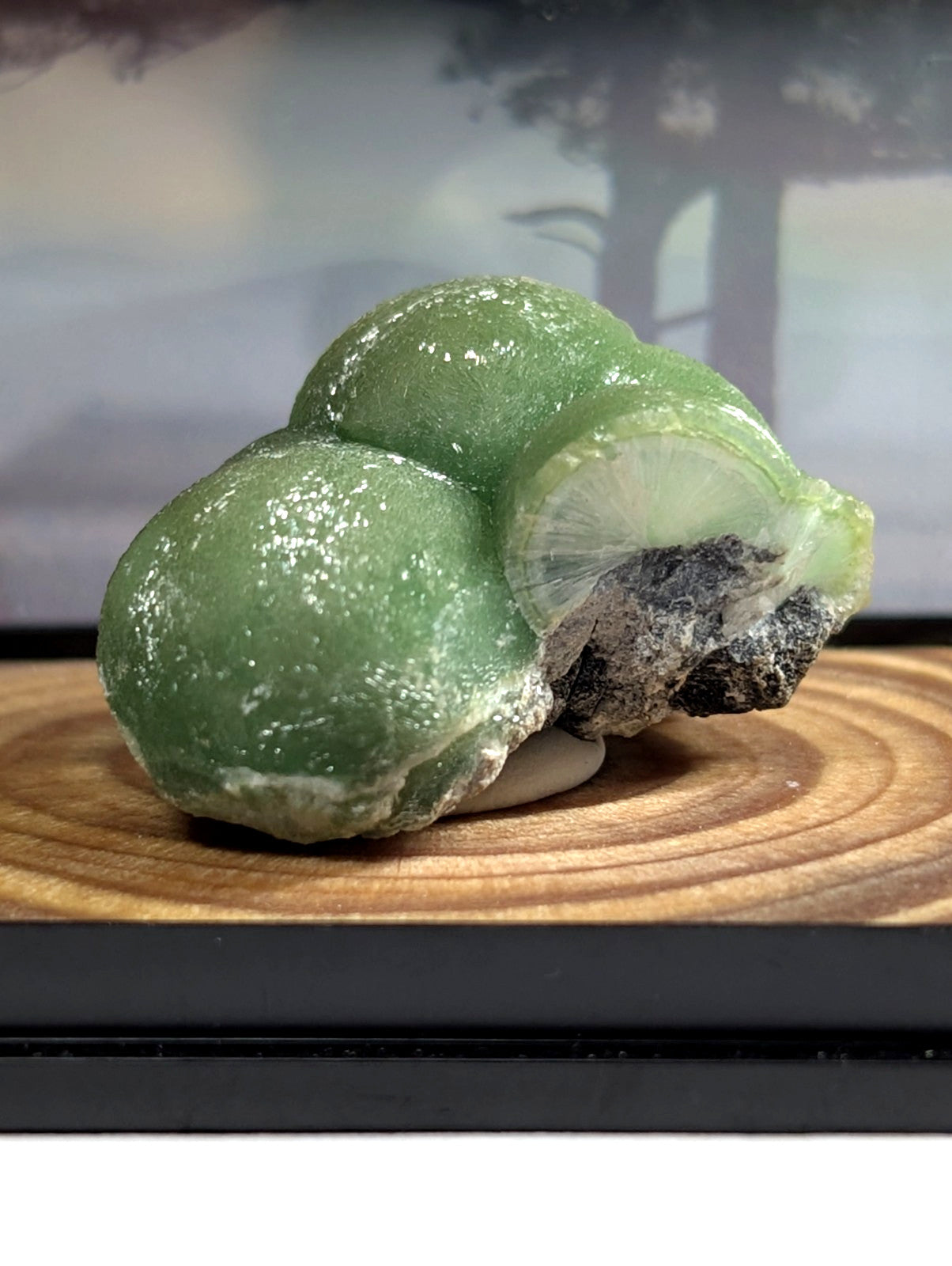 A translucent green mineral specimen with a smooth, rounded form and a dark gray rock inclusion.