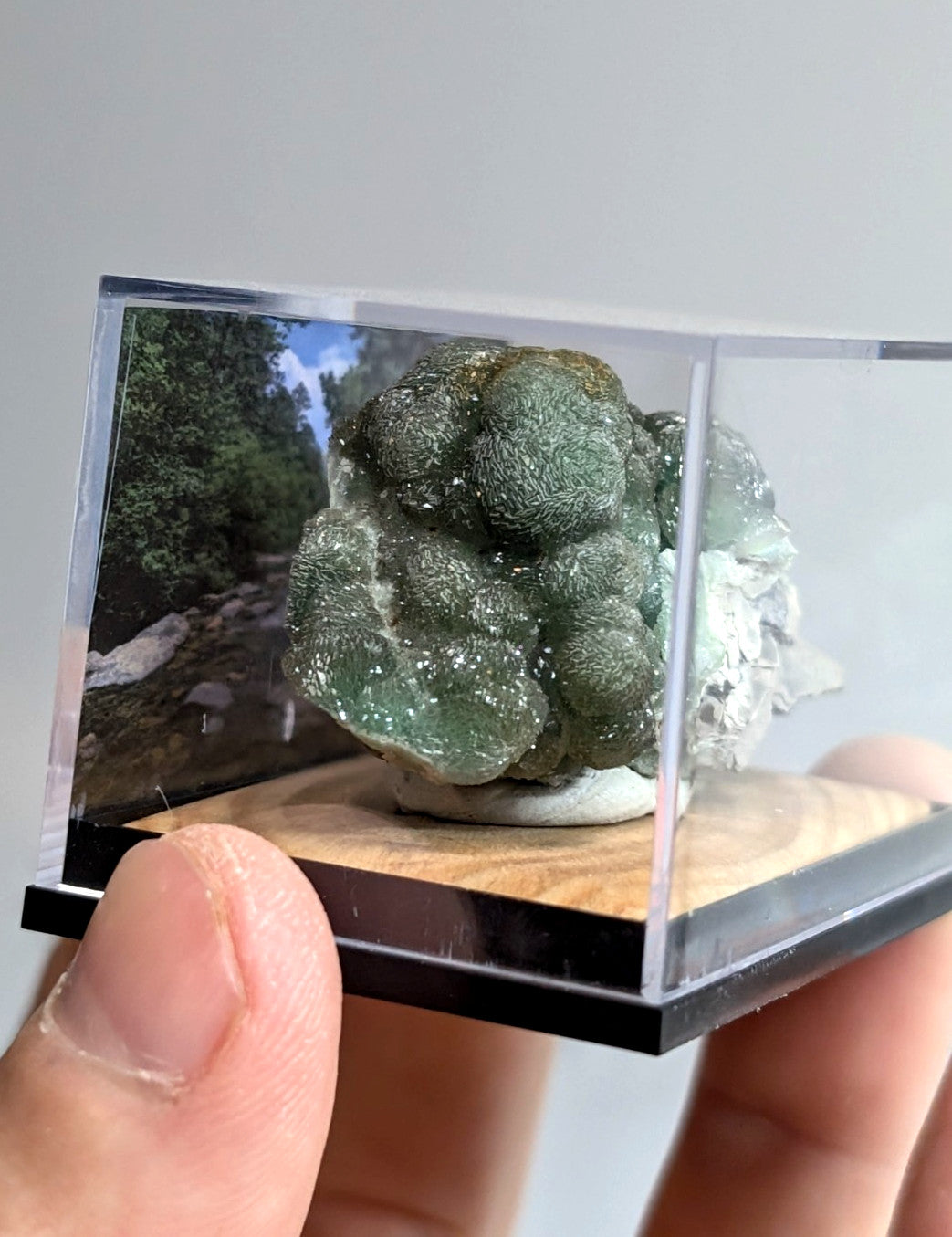 A green, textured mineral specimen with crystalline formations displayed in a clear acrylic display case.