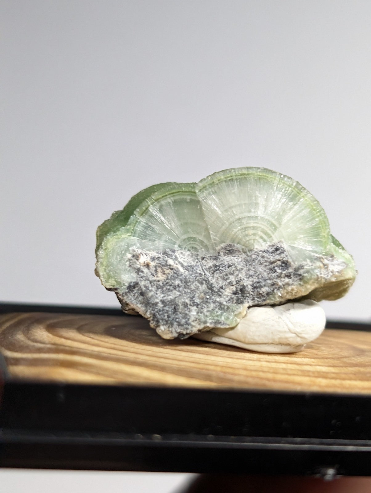 A translucent green calcite geode with a fan-shaped, layered interior and a rougher grayish exterior resting on a white stone.
