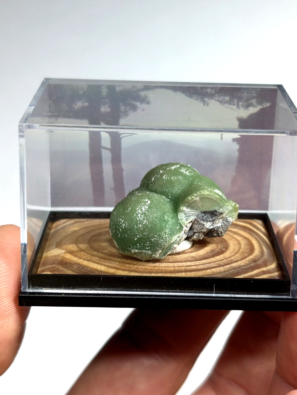 A smooth, translucent green mineral specimen with a rounded, clustered form rests on a wooden base inside a clear acrylic display case.